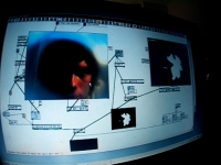 57_2day-checking-box3.jpg